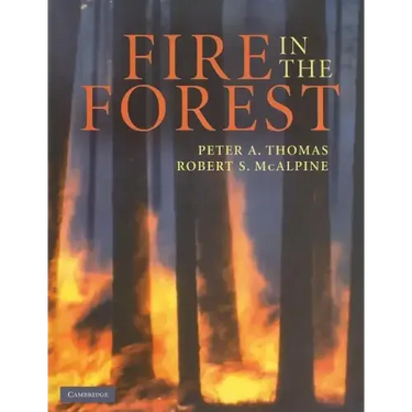 Fire in the Forest