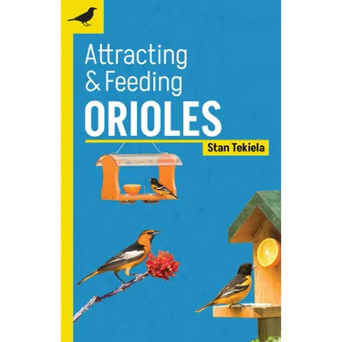 Attracting & Feeding Orioles