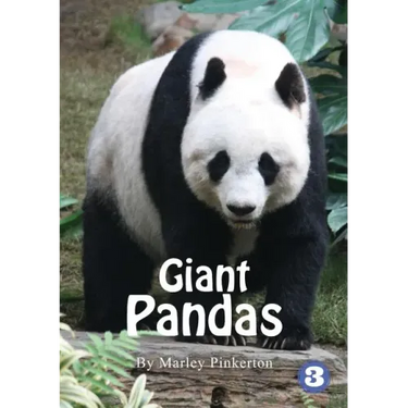 Pandas