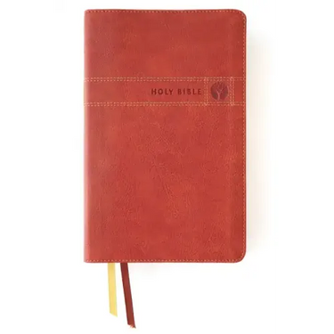 Niv, Men's Devotional Bible (by Men, for Men), Leathersoft, Brown, Comfort Print