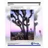 Visitor Vehicle Emissions Study: Joshua Tree National Park- Final Report