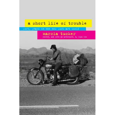 A Short Life of Trouble: Forty Years in the New York Art World