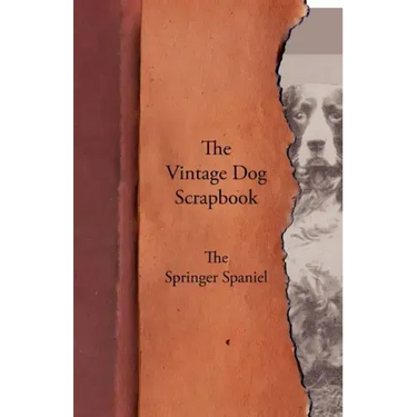 The Vintage Dog Scrapbook - The Springer Spaniel