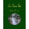New Orleans Rain