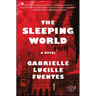The Sleeping World