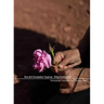 Eco Art Incubator Cyprus: Sites Embodied: Curriculum, Catalogue, Contemplations
