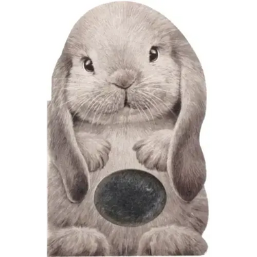 Furry Bunny