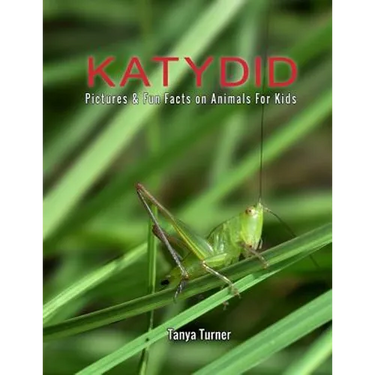 Katydid: Pictures & Fun Facts on Animals For Kids