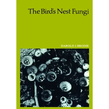 The Bird's Nest Fungi