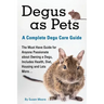 Degus as Pets, a Complete Degu Care Guide