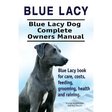 Blue Lacy. Blue Lacy Dog Complete Owners Manual. Blue Lacy book for care, costs, feeding, grooming, health and training.