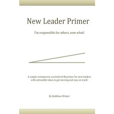 The New Leader Primer: I'm Responsible for Others, Now What?!