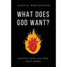 What Does God Want?: Aligning Your Life with God's Desire
