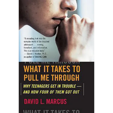 What It Takes to Pull Me Through: Why Teenagers Get in Trouble and How Four of Them Got Out