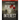 Person of Interest Investigator's Guide plus Streaming Video Softcover