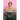 Anastasia: From Slave to Countess