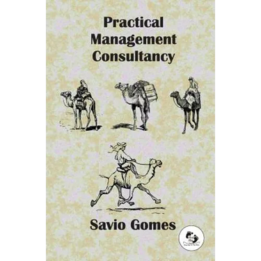 Practical Management Consultancy