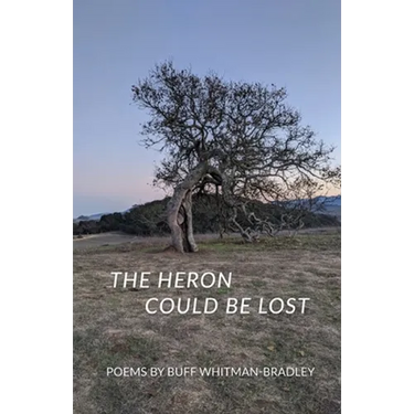 The Heron Could be Lost