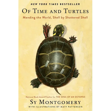 Of Time and Turtles: Mending the World, Shell by Shattered Shell