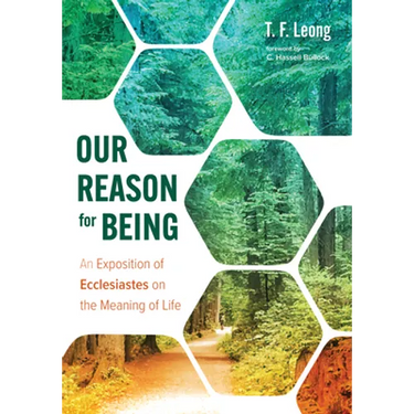 Our Reason for Being: An Exposition of Ecclesiastes on the Meaning of Life