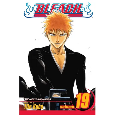 Bleach, Vol. 19: The Black Moon Rising