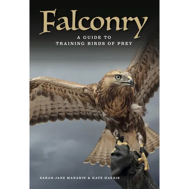 Falconry: A Guide to Training Birds of Prey
