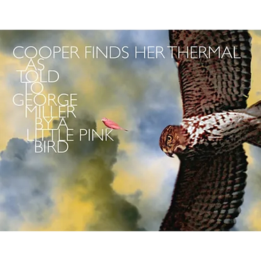 Cooper Finds Her Thermal: As Told to George Miller by a Little Pink Bird