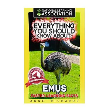 Everything You Should Know About: Emus