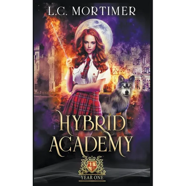 Hybrid Academy: Year One