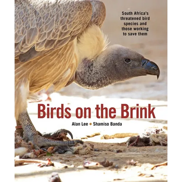 Birds on the Brink: South Africa's Threatened Birds and Those Working to Save Them
