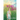 Hillbilly Queer: A Memoir