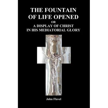 The Fountain of Life Opened (Paperback)