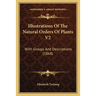 Illustrations Of The Natural Orders Of Plants V2: With Groups And Descriptions (1868)