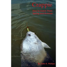 Crappie: How to Catch Them Spring and Summer