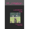 Lockdown Innit: Poems About Absurdity