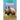 Rhinos