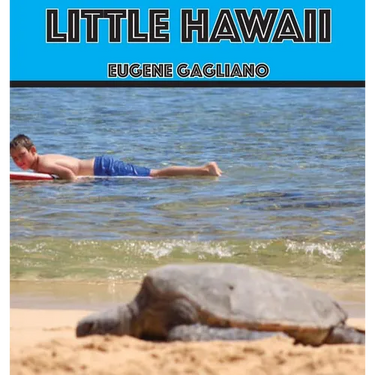Little Hawaii