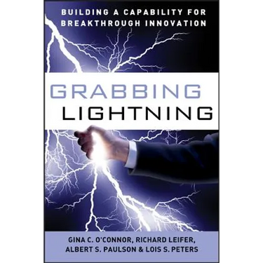 Grabbing Lightning: Building a Capability for Breakthrough Innovation