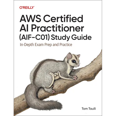 AWS Certified AI Practitioner (Aif-C01) Study Guide: In-Depth Exam Prep and Practice