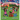 Fireworks Fun Day: A Fourth of July Celebration