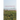 Heliotropic