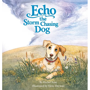 Echo the Storm Chasing Dog