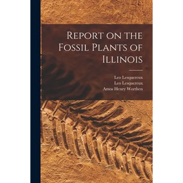 Report on the Fossil Plants of Illinois