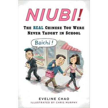 Niubi!: The Real Chinese You Were Never Taught in School