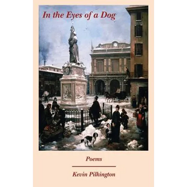 In the Eyes of a Dog