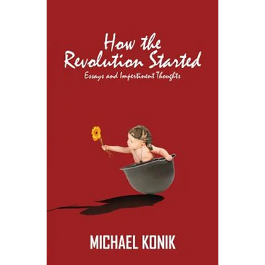 How the Revolution Started: Essays and Impertinent Thoughts