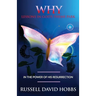 Why: Lessons in God's Theme Park