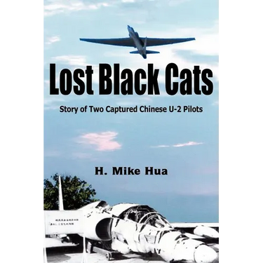 Lost Black Cats