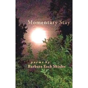 Momentary Stay: Poems