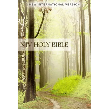 NIV, Value Outreach Bible, Paperback